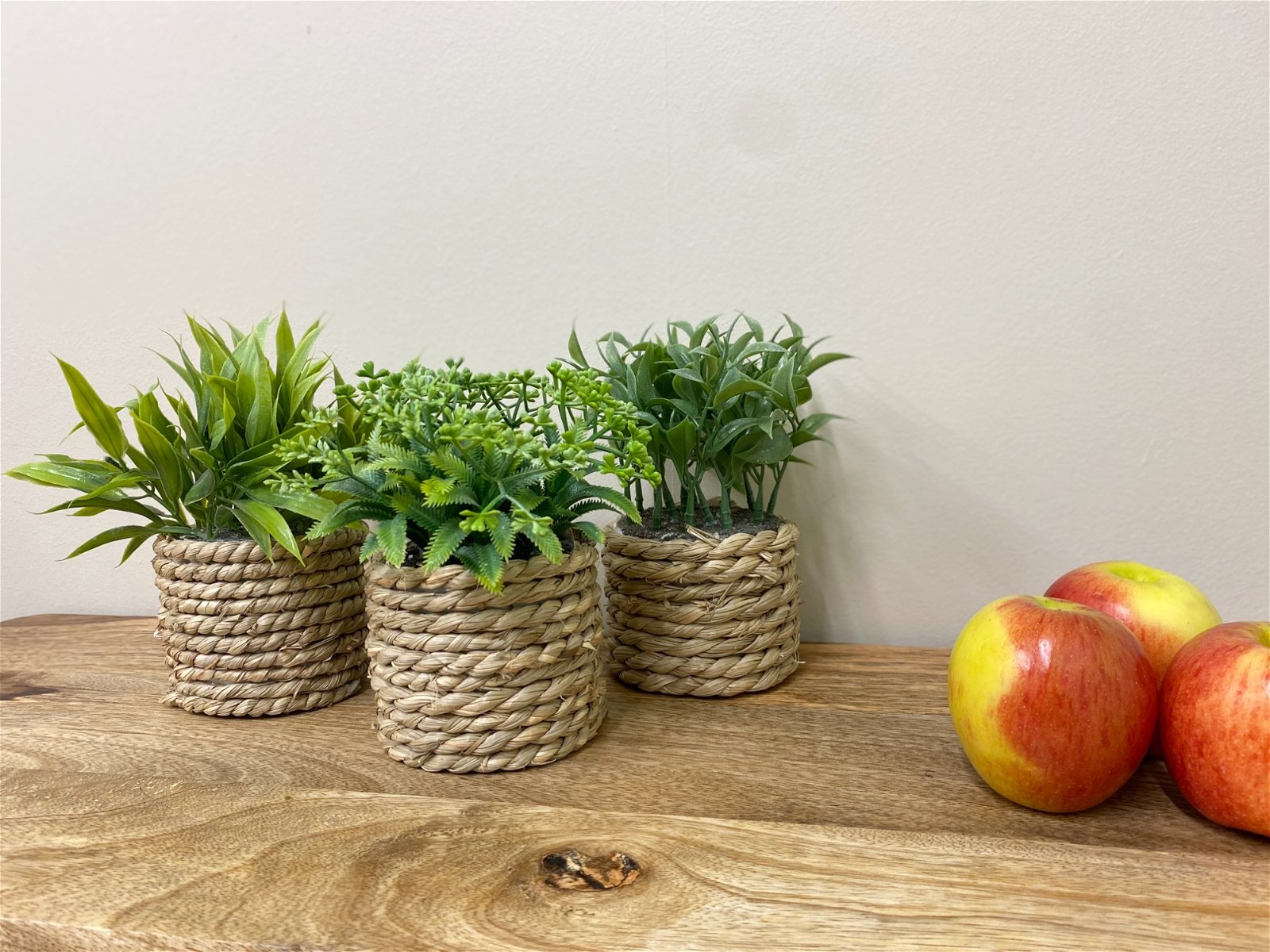 A Set Of Three Rope Effect Pots And Artificial Succulents-1