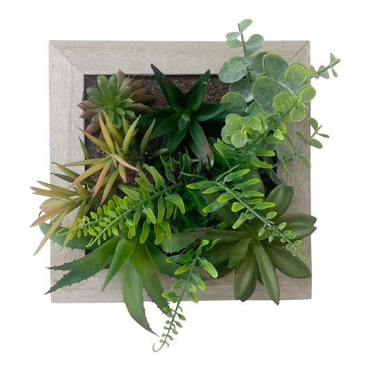 Artificial Succulents In Square Wooden Frame-0