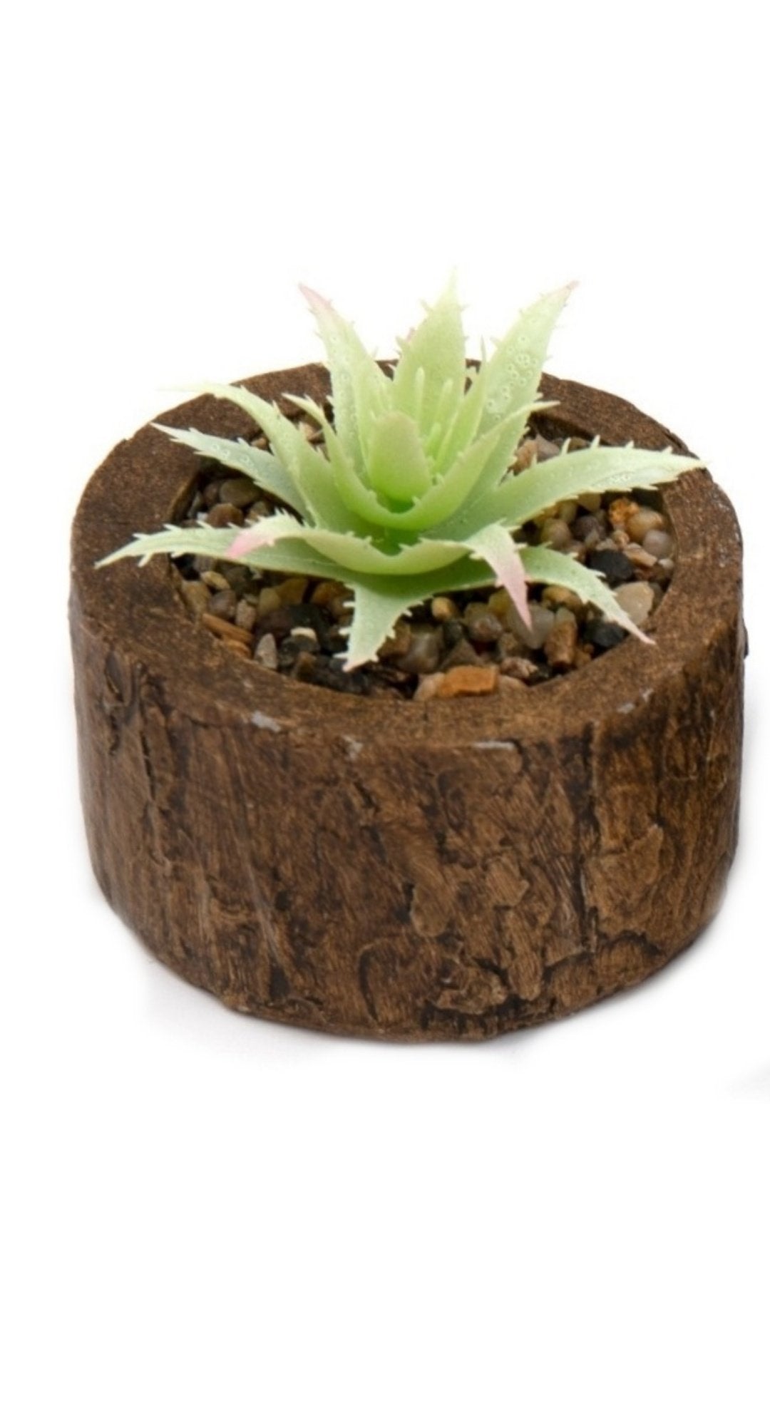 Bark Effect Pot and Succulent-3