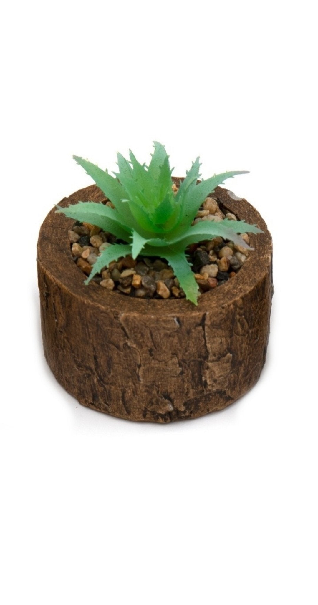 Bark Effect Pot and Succulent-0