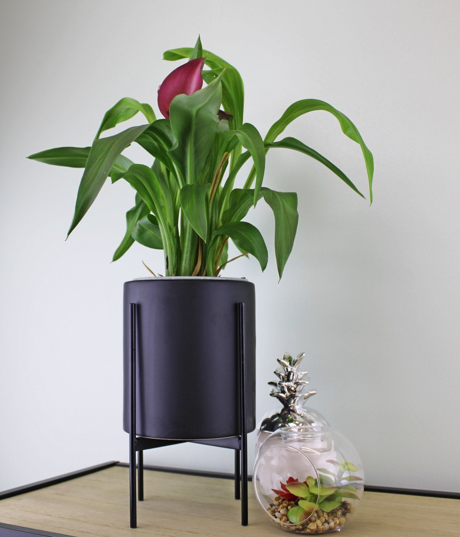 Black Planter Metal Stand 28cm-1