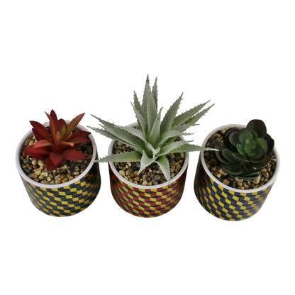 Set of 3 Succulents In Ceramic Pots With A Cubic Design-2