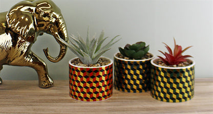 Set of 3 Succulents In Ceramic Pots With A Cubic Design-1