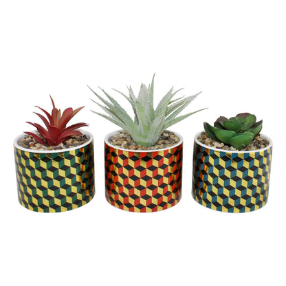 Set of 3 Succulents In Ceramic Pots With A Cubic Design-0