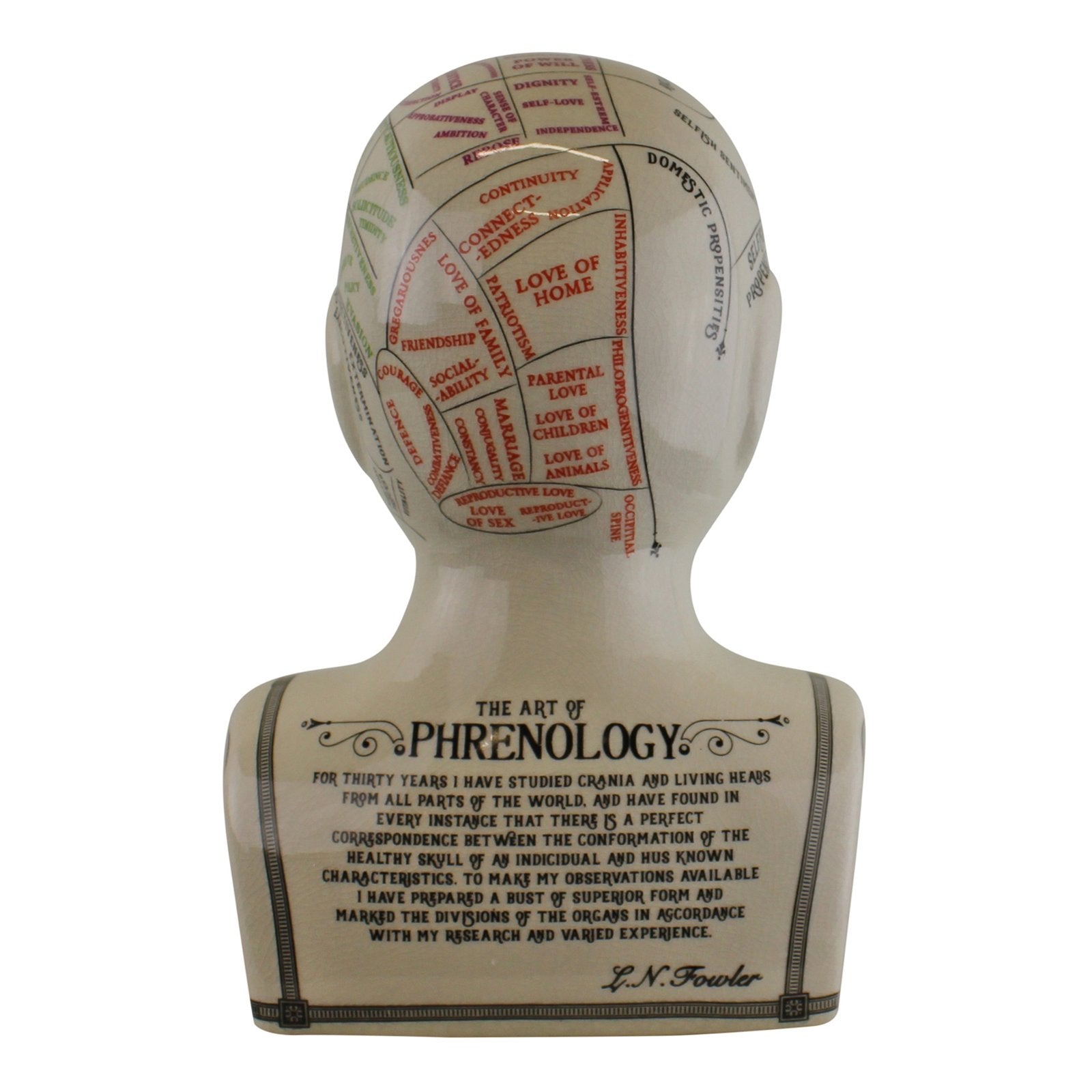 Large Ceramic Crackle Phrenology Head-3