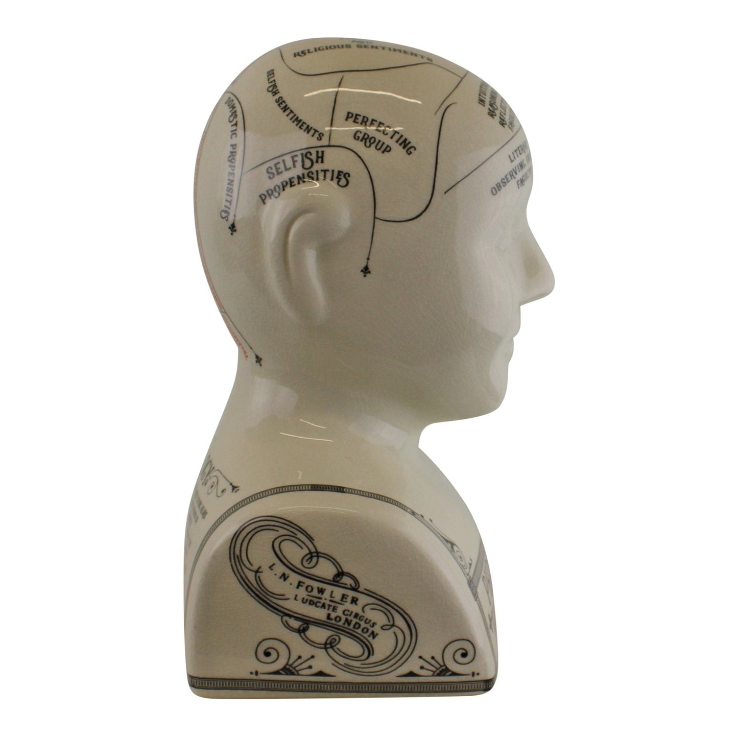 Large Ceramic Crackle Phrenology Head-2