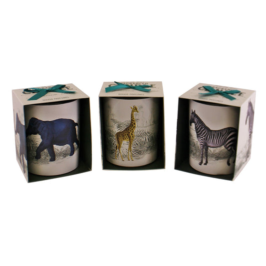 Set of 3 Tropical Safari Candlepots-0