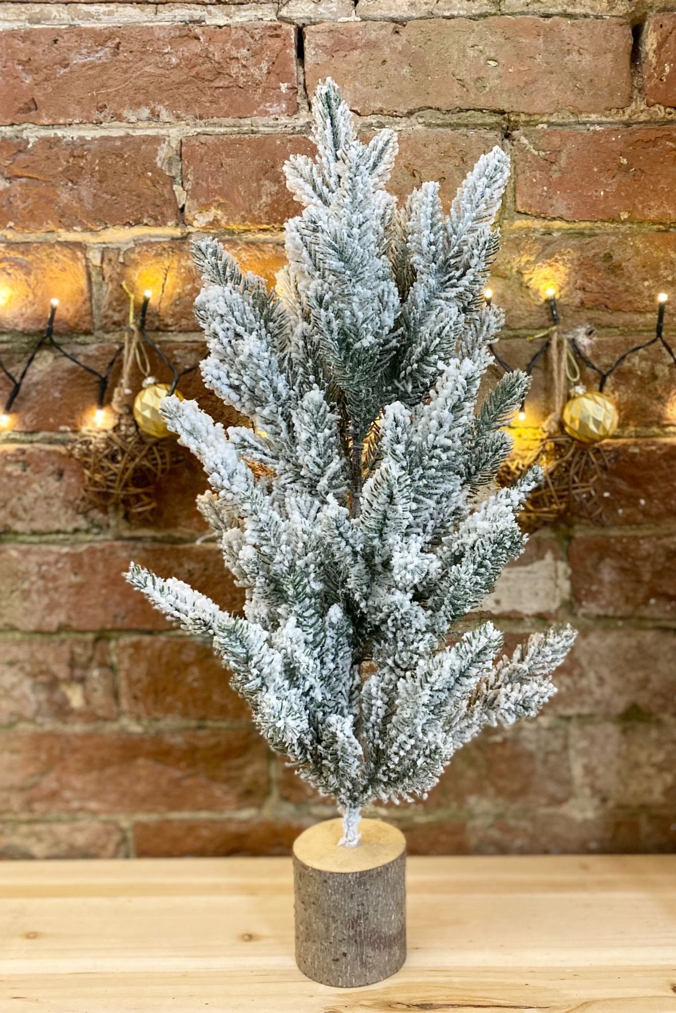 Tall Frosted Christmas Tree In Log 56cm-1