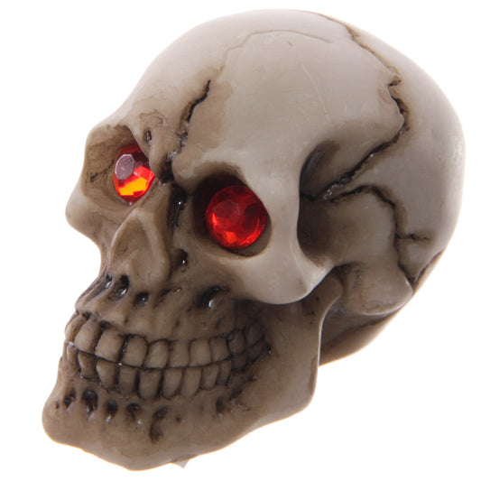 Novelty Red Eyed Skull Decoration SK212-0