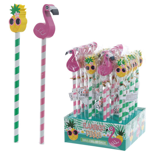 Cute Tropical Design Pencil and Eraser Set STA65-0