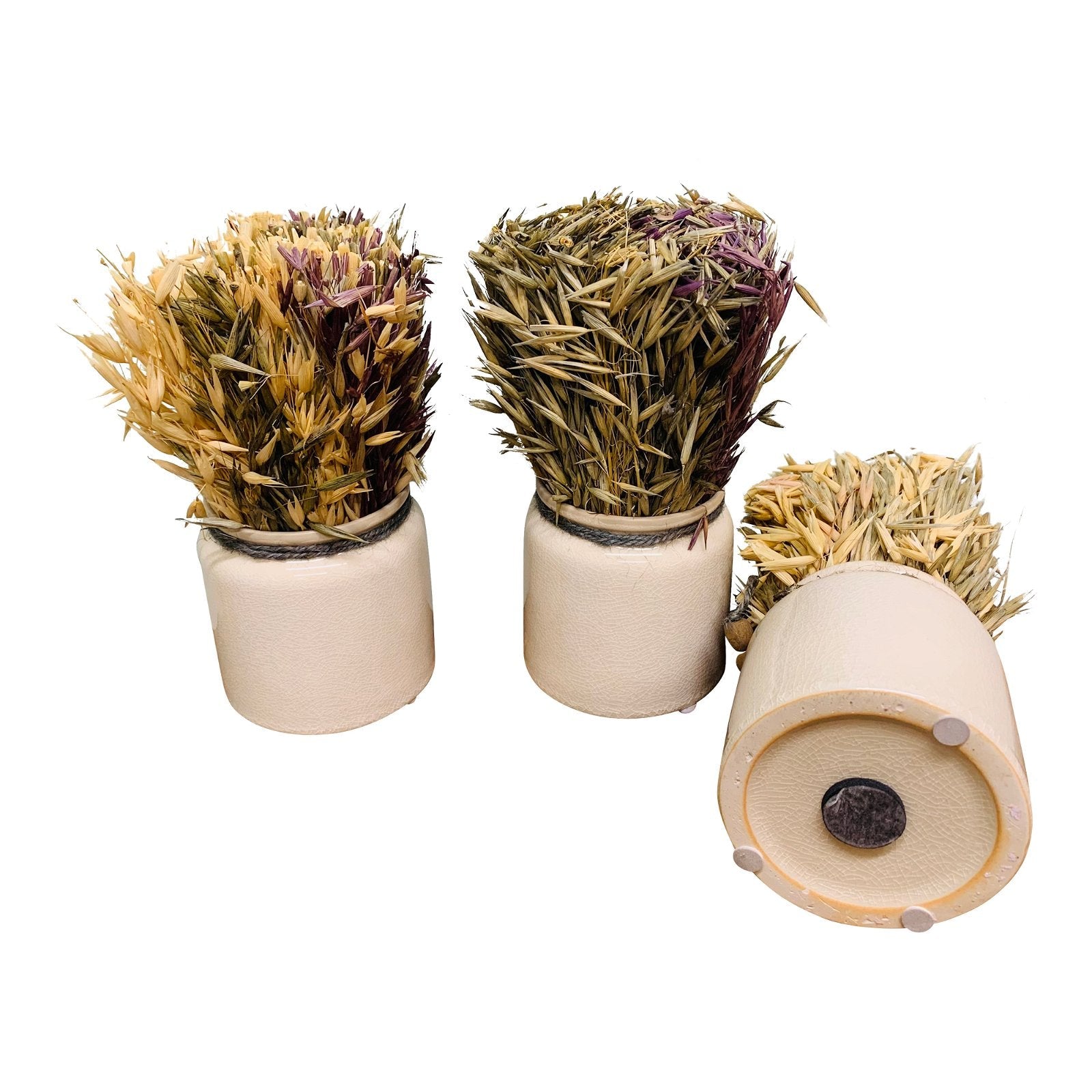 Set of 3 Dried Grasses In Ceramic Pots-4