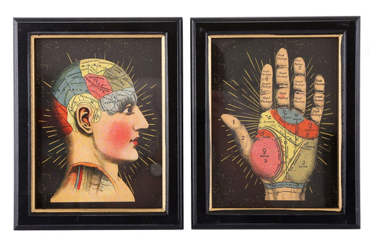 Set of 2 Phrenology Framed Prints 25cm-0