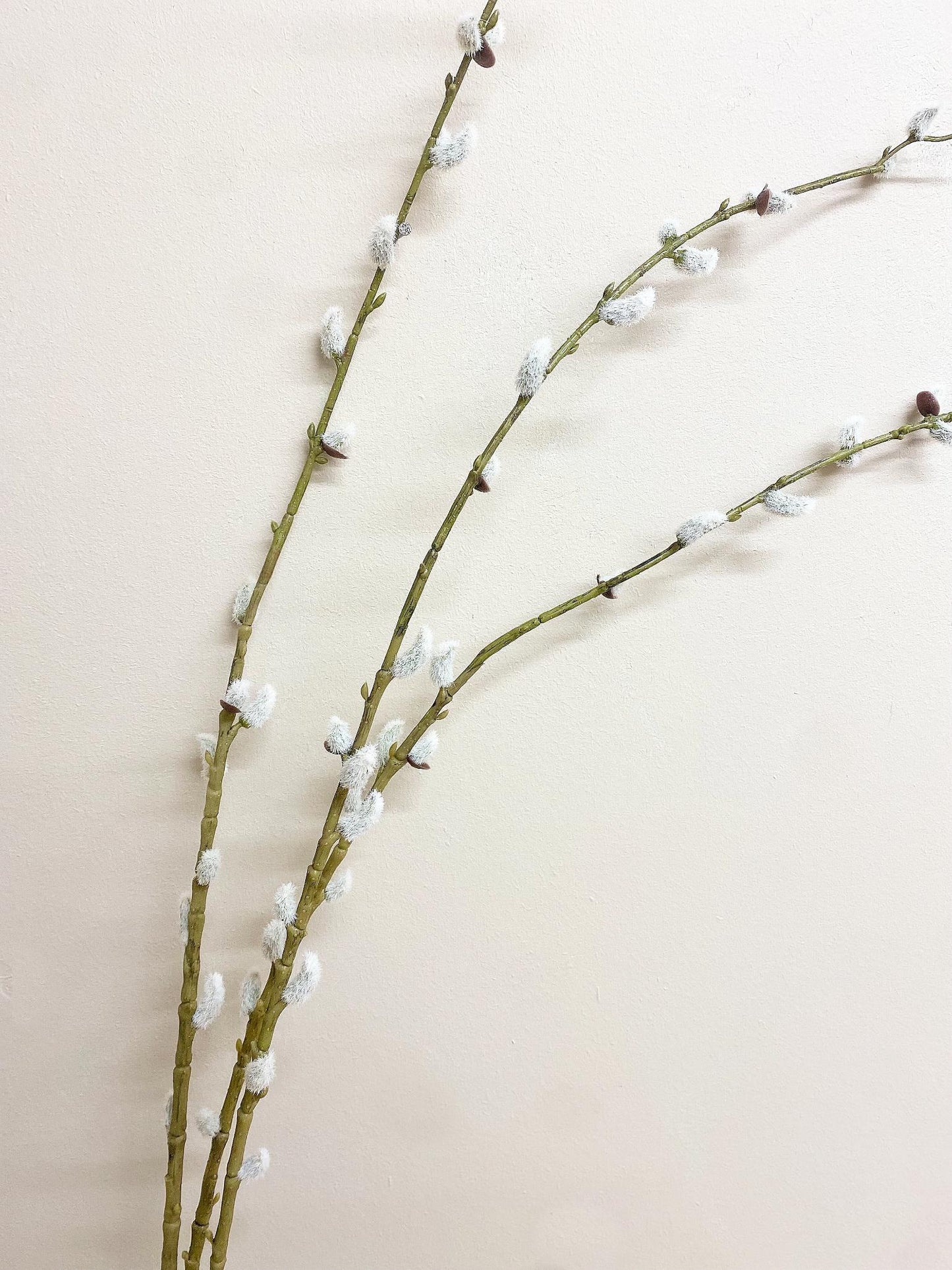 Pussy Willow Stem-2