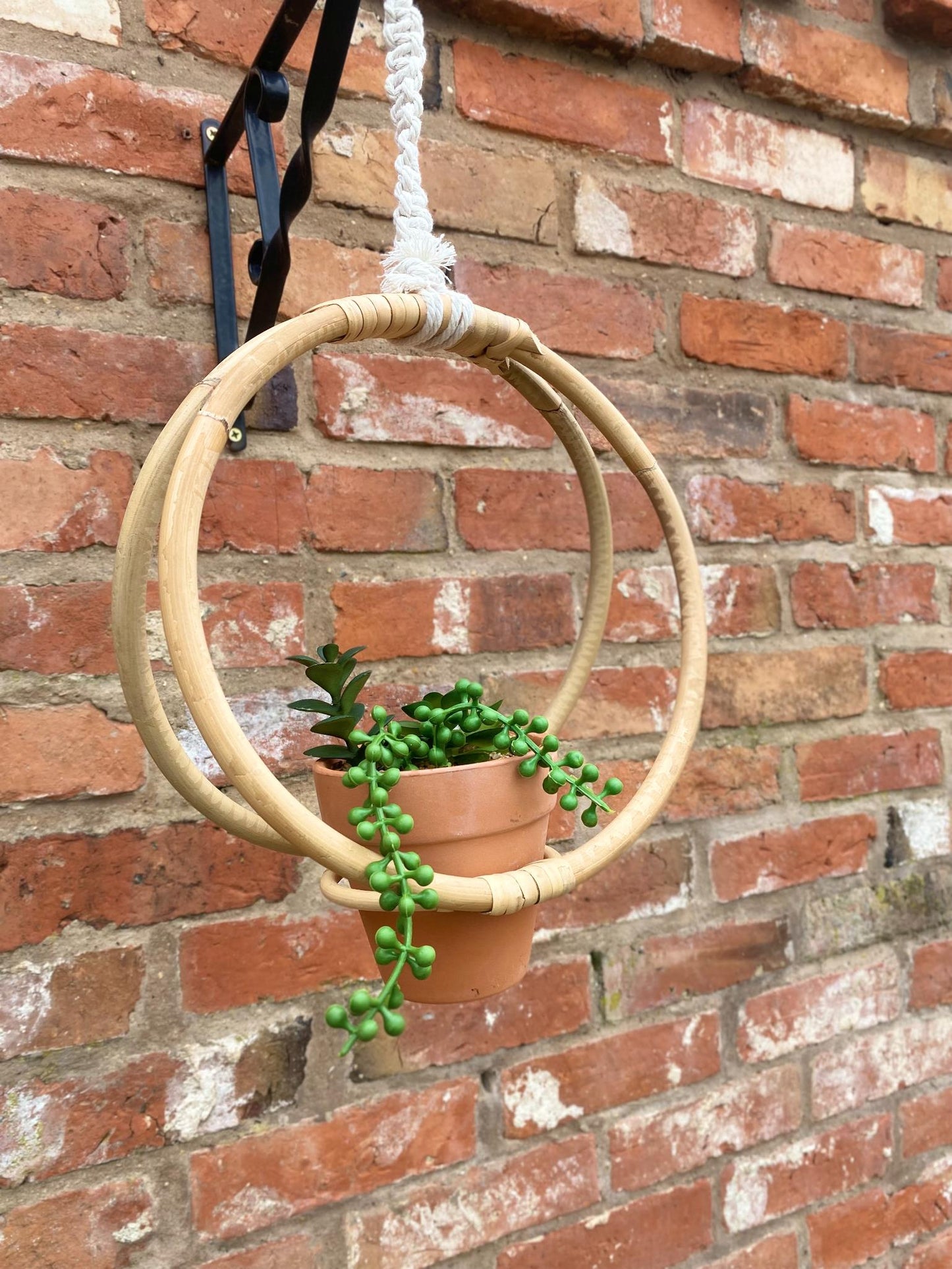 Faux Succulent In Bamboo Hanger-3