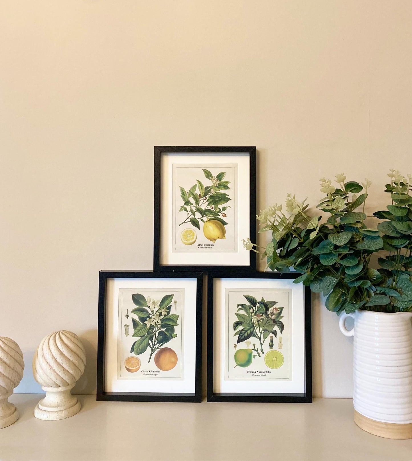 Set of Three Citrus Picture Frames-3