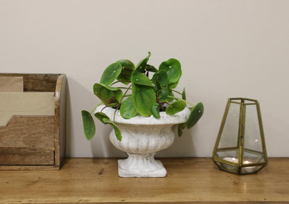 Classic Low Urn Planter-1