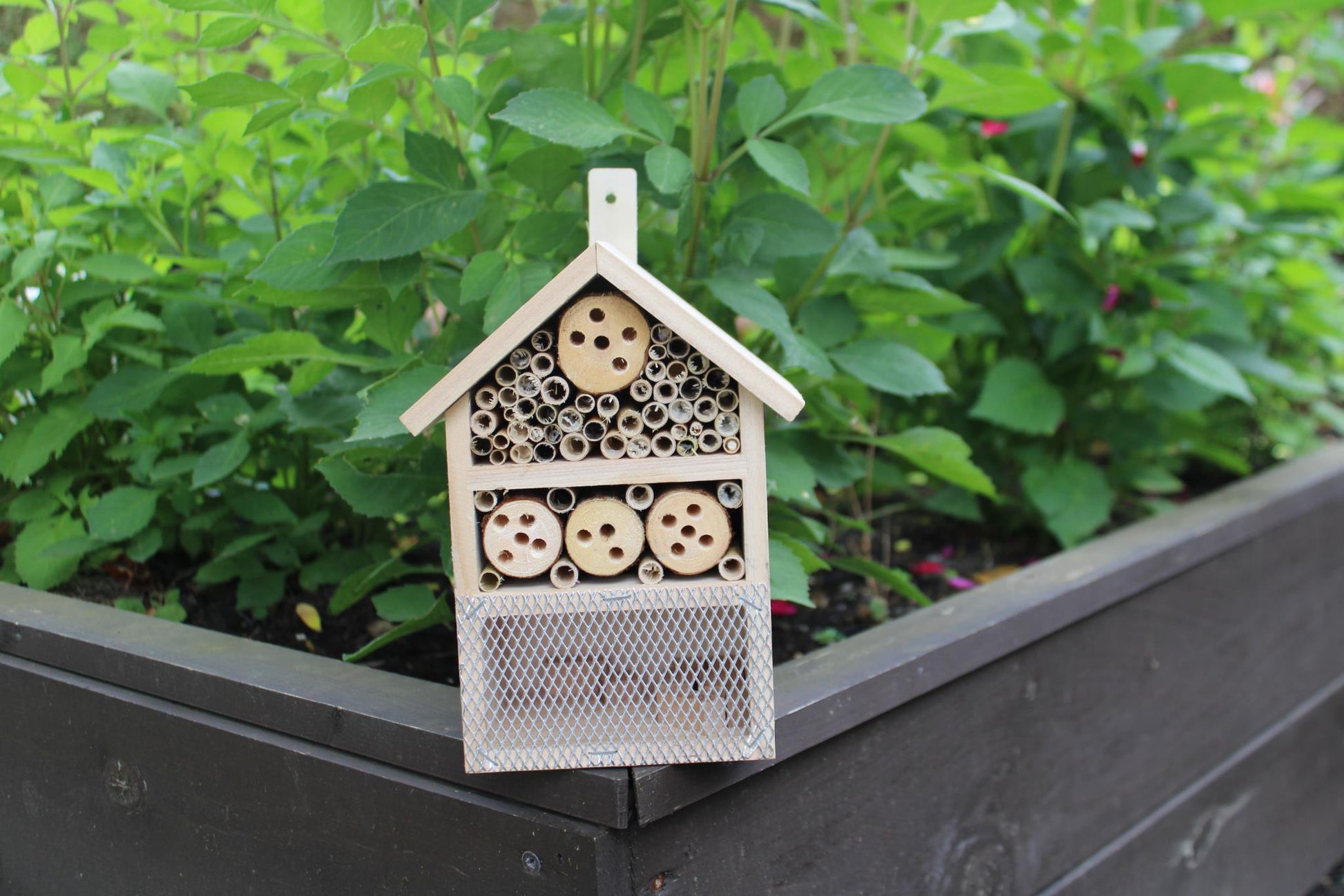 Wooden Insect House-2